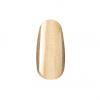 Barva nehtu 627 Crystal Nails